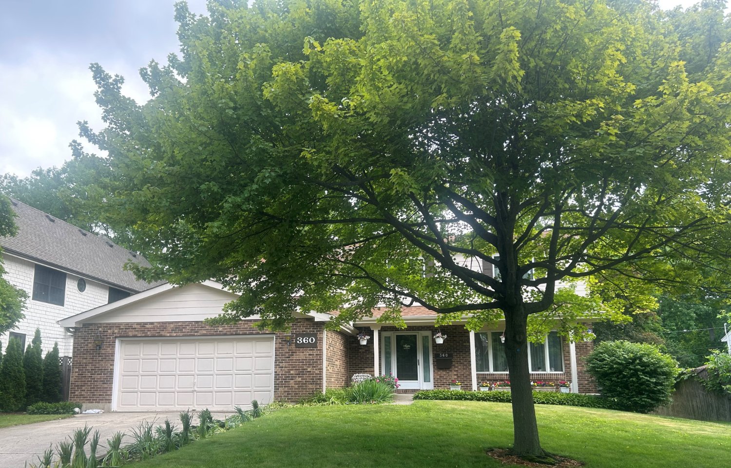 360 East Woodland Road